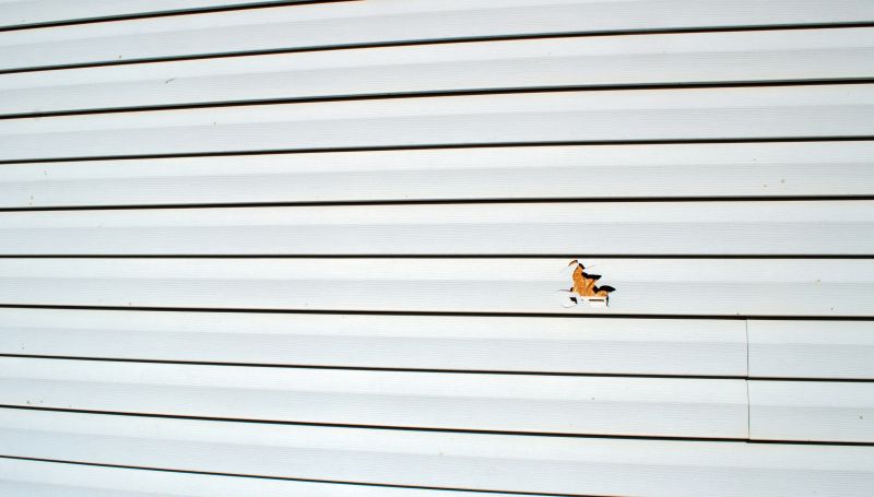 Vinyl Siding Repair Service