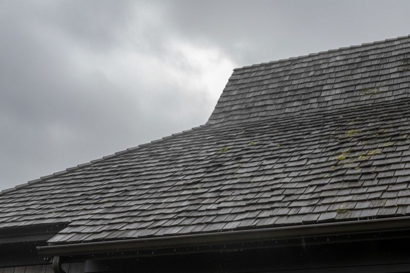 Wood Shake Roof Replacement in Alexandria, VA